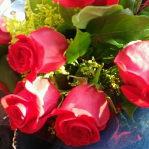 Meet your Posher, Daisy